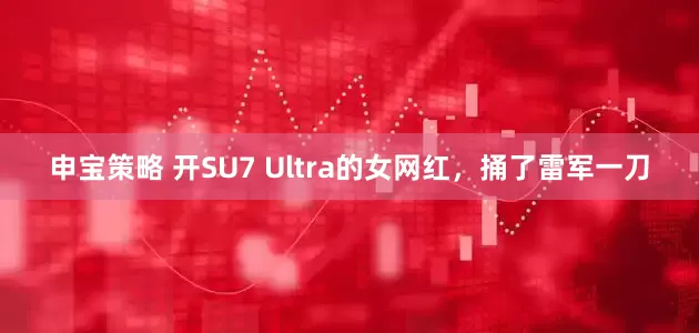 申宝策略 开SU7 Ultra的女网红，捅了雷军一刀