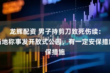 龙辉配资 男子持剪刀致死伤续：当地称事发开放式公园，有一定安保措施