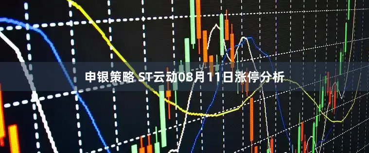 申银策略 ST云动08月11日涨停分析